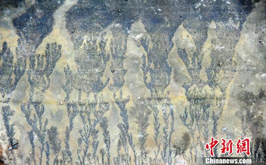 圖為酉陽發(fā)現(xiàn)疑似天然“巖畫”,?！￡惐躺?攝-1