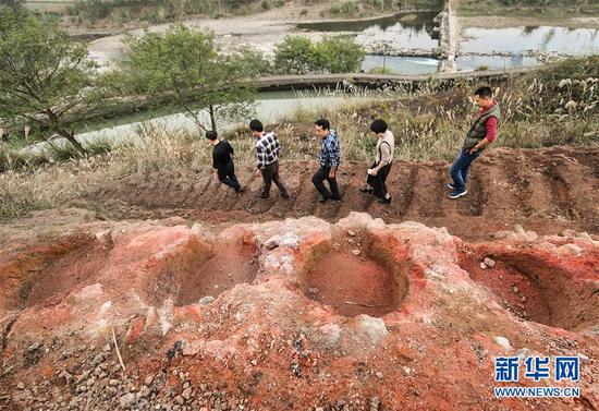 文物工作者走過(guò)陡嶺下遺址上一處保存較為完整的焙燒臺(tái)（11月17日攝）,。