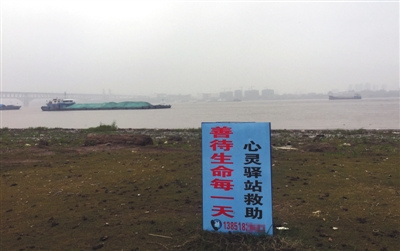 11月20日,，南京,。長江岸邊，一塊藍(lán)色的標(biāo)牌上寫著陳思的電話號碼,。A16-A17版攝影/新京報記者 王佳慧