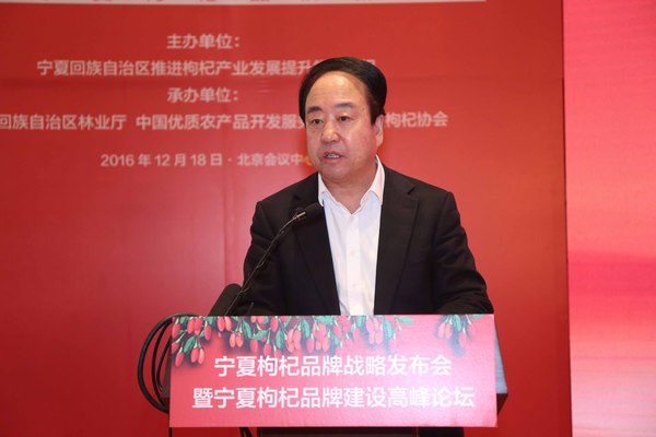 寧夏回族自治區(qū)區(qū)委常委,、政府副主席李銳發(fā)言