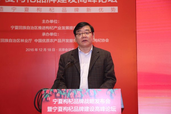中國品牌促進(jìn)會理事長 劉平均發(fā)言