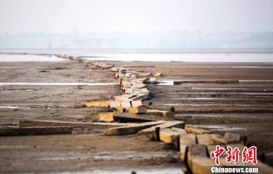 　　“千眼橋”位于鄱陽湖都昌縣多寶鄉(xiāng)至廬山市的湖床上，曾經(jīng)是兩地民眾冬季便捷往來的要道,，遠處依稀可見城市的輪廓,。12月23日攝 傅建斌 攝