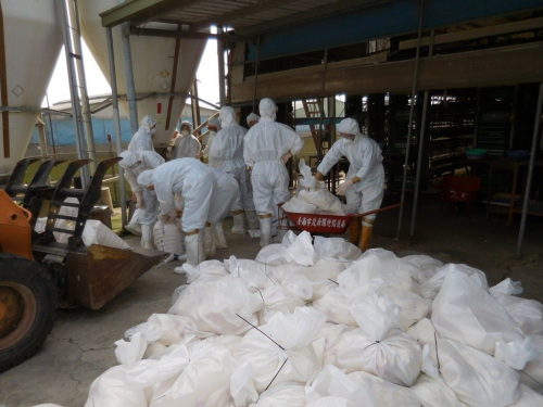臺南下營一處蛋雞場,，檢驗(yàn)出H5N2,，動保處人員撲殺7782只蛋雞,。來源：臺灣《聯(lián)合報(bào)》(臺南市農(nóng)業(yè)局動保處提供)