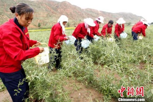 點(diǎn)擊進(jìn)入下一頁(yè)