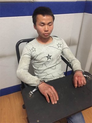 犯罪嫌疑人胡某東,。