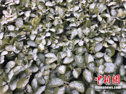 點(diǎn)擊進(jìn)入下一頁(yè)