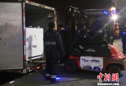 大熊貓“寶寶”被送進(jìn)轉(zhuǎn)運(yùn)車上,?！⊥跫舅?攝