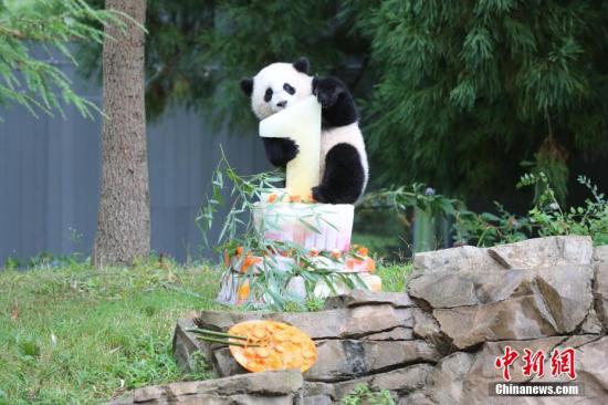 點(diǎn)擊進(jìn)入下一頁(yè)