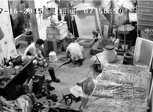 宰殺穿山甲等保護(hù)動物。(警方提供)