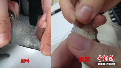 真紫菜泡水后吸收水分,，光滑,，而塑料薄膜不吸水,，不光滑。制圖：<a target='_blank' href='http://www.chinanews.com/' >中新網(wǎng)</a> 邱宇