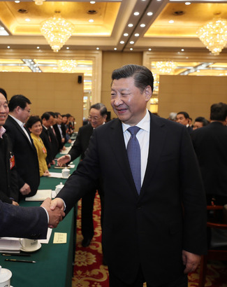 習近平看望民進,、農(nóng)工黨、九三學社界委員并參加討論
