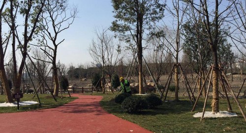 松江九亭拆違和環(huán)境綜合整治前后的面貌變化,。