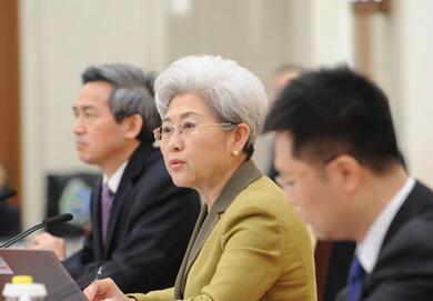 大會(huì)發(fā)言人傅瑩