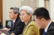 大會發(fā)言人傅瑩