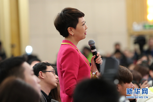圖為中央電視臺記者提問,。
