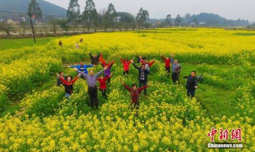 2月14日,，廣西柳州市融安縣大良鎮(zhèn)和南村的油菜花花開正盛,。在農(nóng)業(yè)部門的指導(dǎo)下，當(dāng)?shù)剞r(nóng)民在油菜花田里種出“稻油油增收夢”字樣,，吸引了不少游客前來旅游觀光,。該縣摸索出一套“稻油油”(水稻+油葵+油菜)模式，在提高農(nóng)田的使用率的同時,，發(fā)展生態(tài)農(nóng)業(yè)觀光旅游,，促進(jìn)農(nóng)民增收。譚凱興 攝