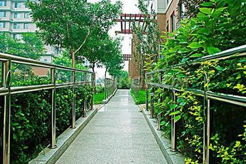 社會福利保障界委員熱議無障礙環(huán)境建設(shè)
