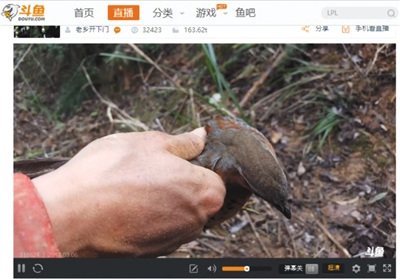 點(diǎn)擊進(jìn)入下一頁