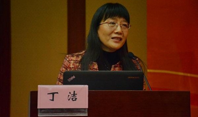 丁潔委員回應(yīng)“陳凱先之問(wèn)”