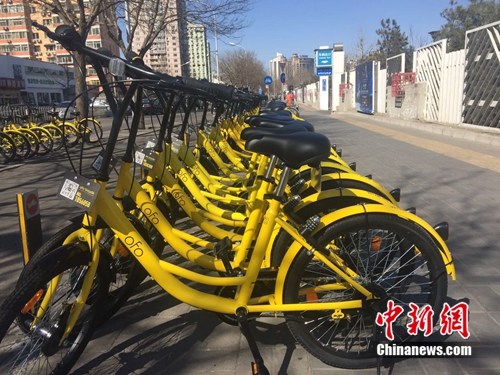 北京朝陽公園附近，共享單車投放數(shù)量驚人,。<a target='_blank' href='http://www.chinanews.com/' >中新網(wǎng)</a> 吳濤 攝