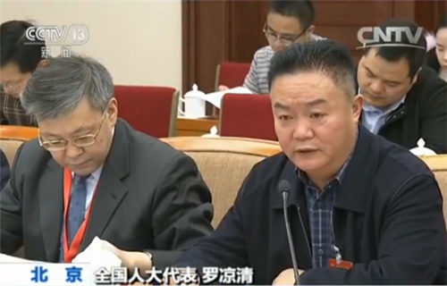 全國(guó)人大代表 羅涼清