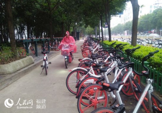 農(nóng)大東門(mén)停放數(shù)百輛共享單車(chē)。  張霜霜 攝