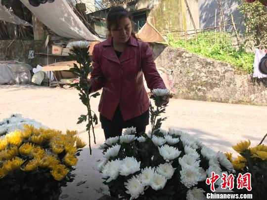 圖為市民挑選鮮花為祭掃做準(zhǔn)備,?！＄婌?攝