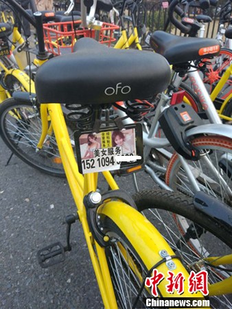 一輛共享單車上的小廣告,。<a target='_blank' href='http://www.chinanews.com/' >中新網(wǎng)</a>記者 李金磊 攝