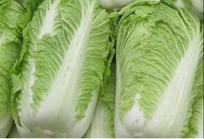 吃大白菜易傷陽(yáng)氣 改善體寒吃什么好,？