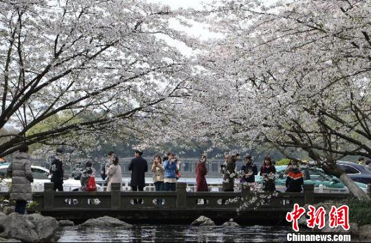 圖為杭州西湖的太子灣公園,?！⊥鮿?攝