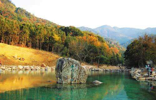 廣東森林公園1351個(gè)全國(guó)最多2