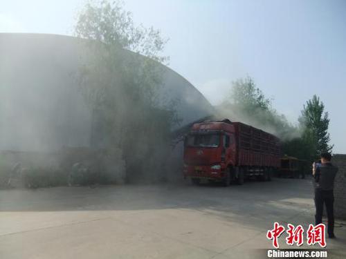 中儲(chǔ)糧光武分庫(kù)正在組織車輛將已經(jīng)變質(zhì)的小麥運(yùn)走?！菗P(yáng) 攝