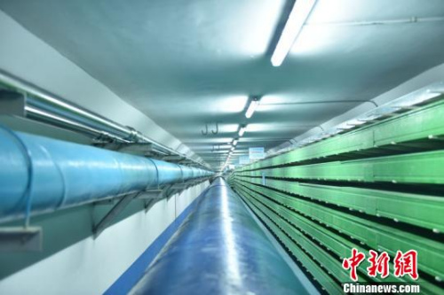  城市綜合管廊工程內(nèi)景,?！x文 攝