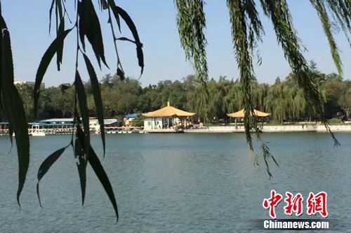 今年4月，北京陶然亭公園內(nèi)春意盎然,。<a target='_blank' href='http://www.chinanews.com/' >中新網(wǎng)</a> 種卿 攝