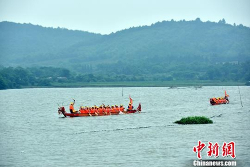 資料圖：江南水鄉(xiāng)端午節(jié)前龍舟“發(fā)船” 祈風(fēng)調(diào)雨順,。龍舟在湖中辟波斬浪,。　萬朝暉 攝