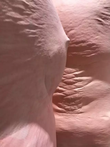 畢業(yè)展作品被盜皮皮蝦也遭殃 學生貼26個勿觸碰