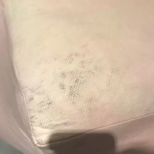 畢業(yè)展作品被盜皮皮蝦也遭殃 學生貼26個勿觸碰