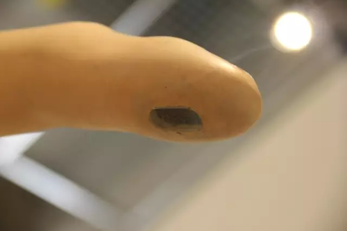 畢業(yè)展作品被盜皮皮蝦也遭殃 學生貼26個勿觸碰