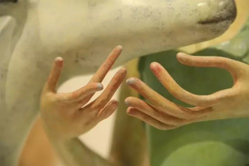 畢業(yè)展作品被盜皮皮蝦也遭殃 學生貼26個勿觸碰