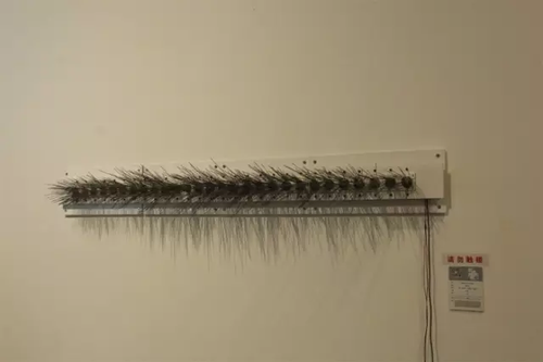 畢業(yè)展作品被盜皮皮蝦也遭殃 學生貼26個勿觸碰