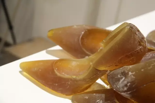 畢業(yè)展作品被盜皮皮蝦也遭殃 學生貼26個勿觸碰