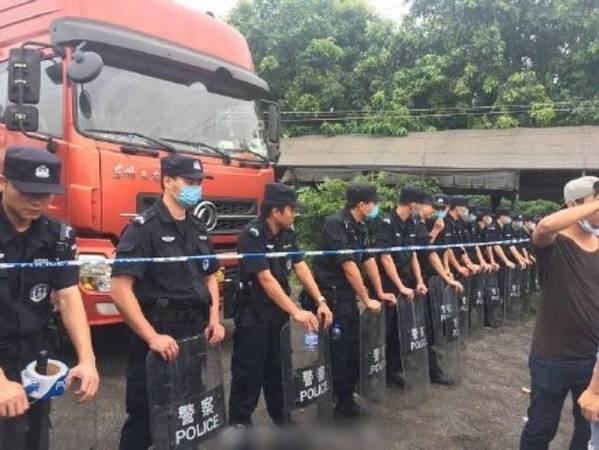 廣州愛(ài)狗人士攔車(chē)救上千條待宰犬