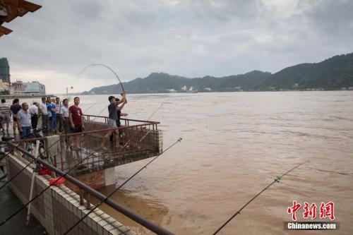 點擊進(jìn)入下一頁