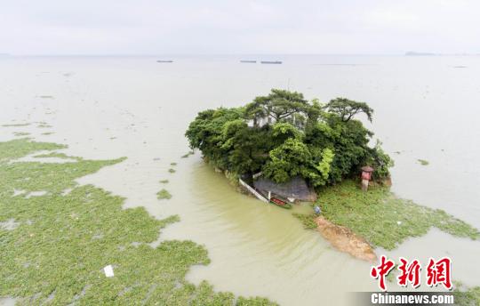 洪澇致贛逾410萬人受災(zāi)長(zhǎng)江九江段,、鄱陽湖水位持續(xù)超警（圖）