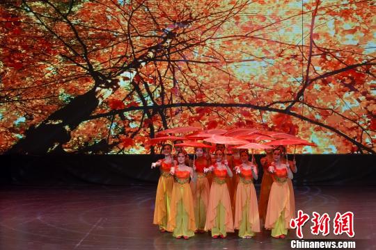 中國(guó)僑網(wǎng)《加國(guó)頌 中華情》大型綜藝晚會(huì)劇照(多倫多華星藝術(shù)團(tuán)供圖)