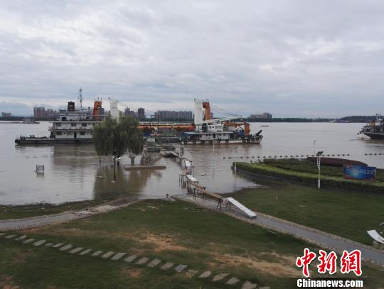 7月9日,，安徽省安慶市江花小區(qū)外灘公園水情?！≈鞂W(xué)文 攝
