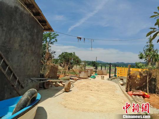 除部分樹枝和電線上還殘留著洪水中的雜物外,，壩塘鎮(zhèn)的災(zāi)后垃圾已基本清理完畢,?！⊥蹶魂?攝