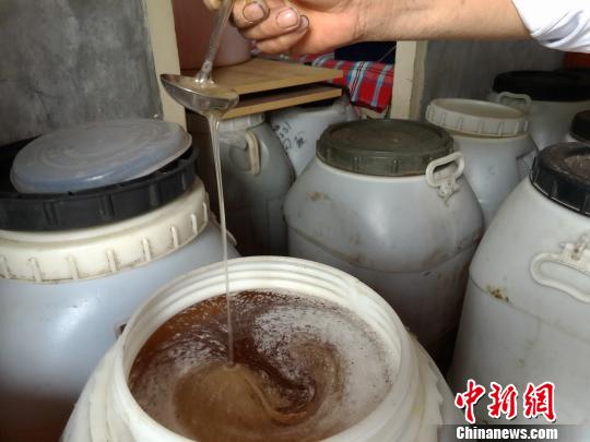 圖為蜂農(nóng)李虎云查看家中儲藏的一桶桶蜂蜜?！№n章云 攝