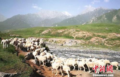 資料圖：夏日的祁連山風景如畫?！±晌娜?攝