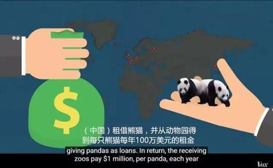 外媒:熊貓是中國(guó)的賺錢工具,、外交手段和置換籌碼
